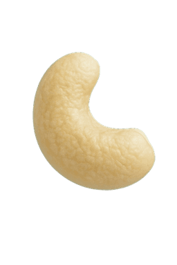 Cashew